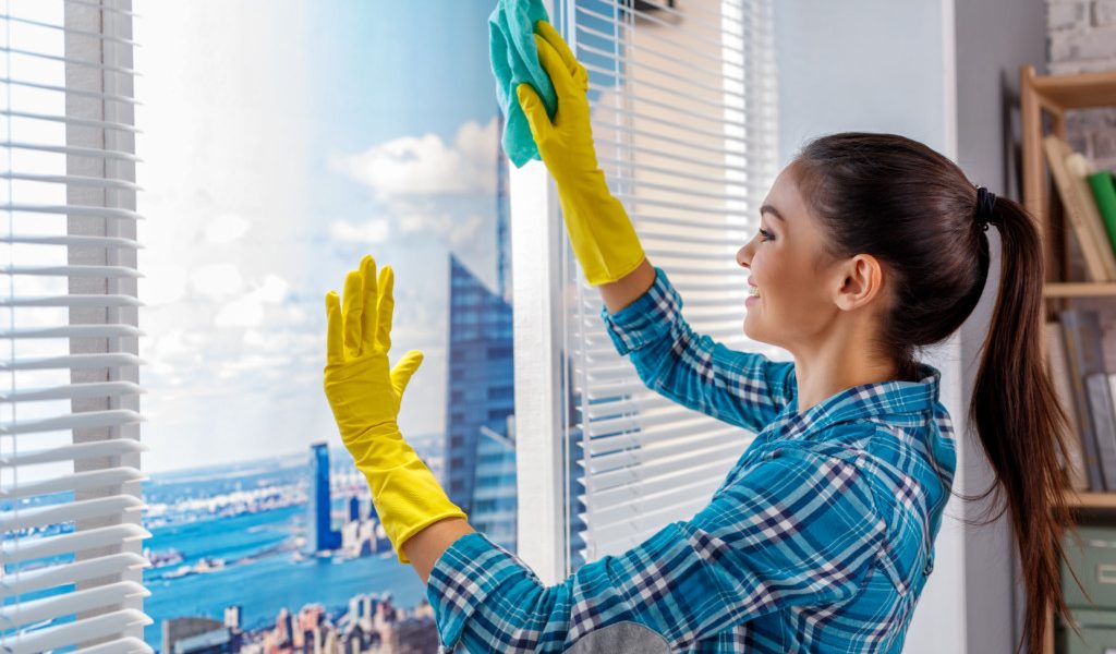 Window-Cleaning mujer
